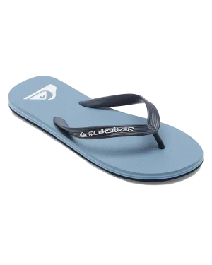 Molokai Core Flip Flops in Blue 5